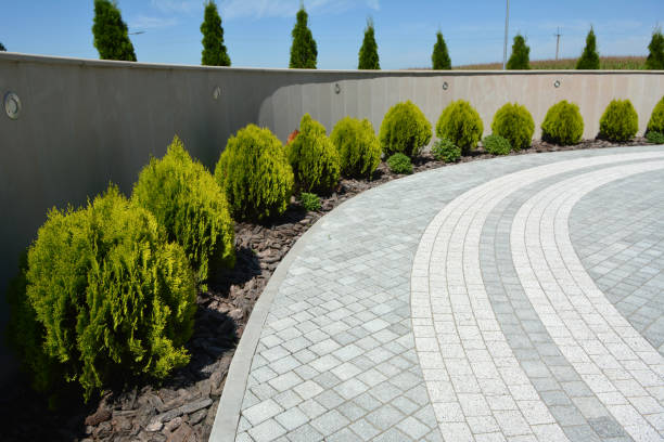 Best Professional Driveway Pavers  in Durand, WI